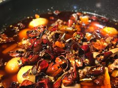 -一只烧鸡公(解放碑店)