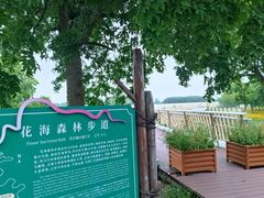 -江苏三台山国家森林公园