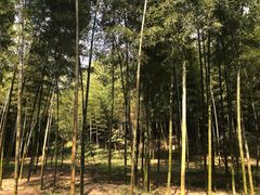 -陶祖圣境风景区