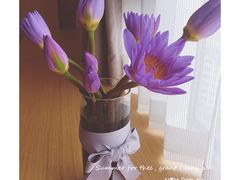 -茶马花街(城西银泰城店)