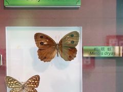 -上海昆虫博物馆