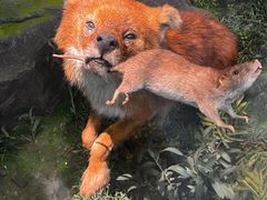 -国家自然博物馆