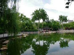 -莲湖公园