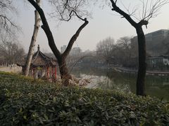 -莲湖公园