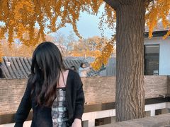 -自如ZSPACE四合院艺术餐厅