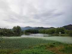 -鸣鹤古镇