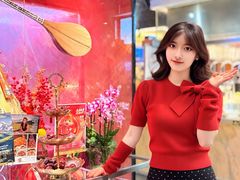 -北京朝阳悠唐皇冠假日酒店