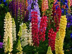 -上海浦江郊野公园·1号停车场