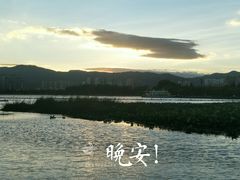 -庾园