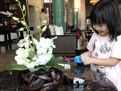 -广州都喜泰丽温泉度假酒店