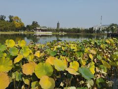-西海子公园