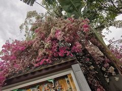 -深圳国际园林花卉博览园