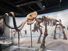 -辽宁古生物博物馆
