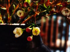 -泓0871臻选云南菜·味庄