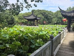 -丝绸小镇荻港古村