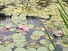 -石塘人家