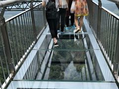 -梦幻奥陶纪景区