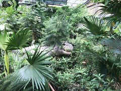 -北京呀路古热带植物园