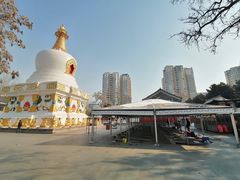 -护国法轮寺