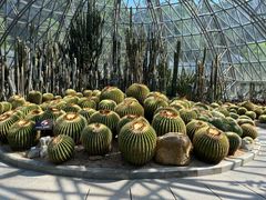-深圳仙湖植物园