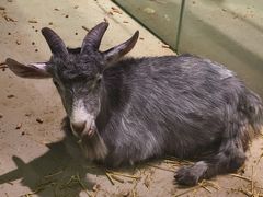 -正佳雨林生态植物园