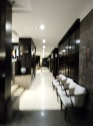 -真知味酒店·宴会厅(月牙湖店)