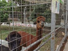 -迪茵湖田家舍生态农场