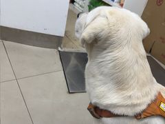 -爱侣宠医·鹦鹉专科·小型哺乳类·异宠专科(灵石路店)