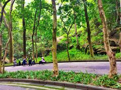 -火炉山森林公园