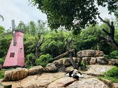 -广州长隆野生动物世界