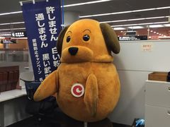-中部国际机场