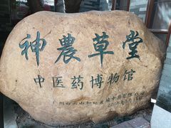 -广州神农草堂中医药博物馆