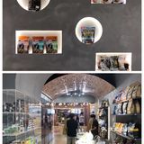 藏在商场里的撸猫和宠物用品集合点店！
