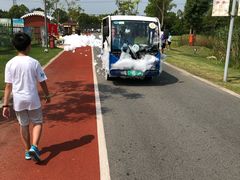 -上海长兴岛郊野公园