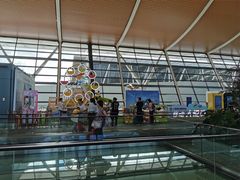 -上海浦东国际机场-T2航站楼