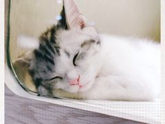 -乐宠宠物店(世纪金源店)