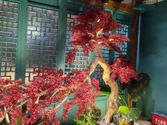 -渝乡辣婆婆·川菜 水煮鱼(中山西路店)