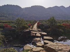 -中国茶叶博物馆(双峰馆区)