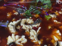 -重庆乌鱼庄·龙滋鲜(青羊大道店)