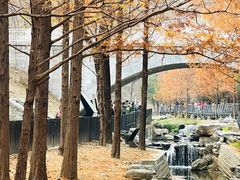 -白水寺森林公园