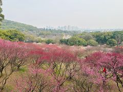 -无锡梅园公园