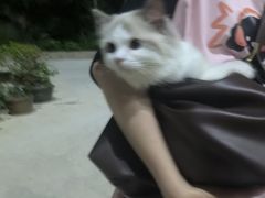 -泉州海丝野生动物世界