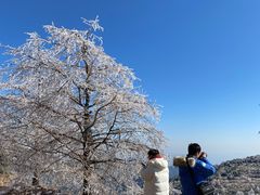 -东白山
