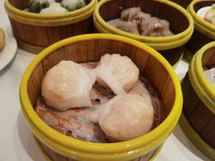 -东方早茶 海鲜•青岛菜(国信体育中心店)