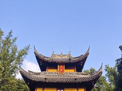 -龙华素斋(龙华路店)