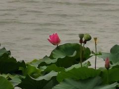 -石湖景区