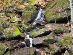 -五女峰国家森林公园