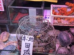 -珠光市场(文德南路)