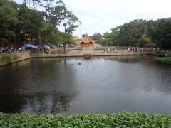 -兰剑驾校(汉阳校区)