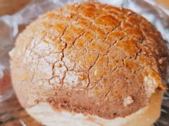 -琼海·狮椰美食楼